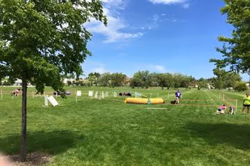 Library Field